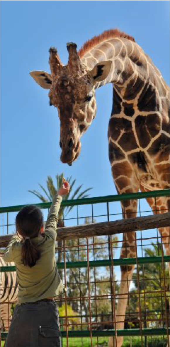 DeZoos Marcelle Natureza